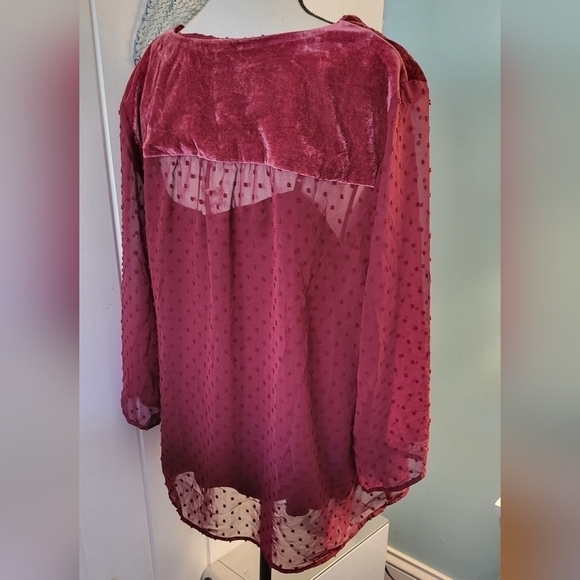 Style &Co Textured Semi Sheer Blouse with Tank Size 1X - Picture 5 of 10